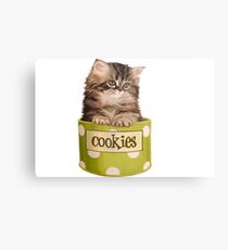 Funny Kitten Metal Print
