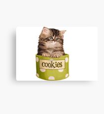 Funny Kitten Canvas Print