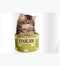Funny Kitten Poster