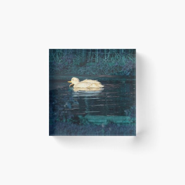 Item preview, white duck  designed and sold by Francespoppy.