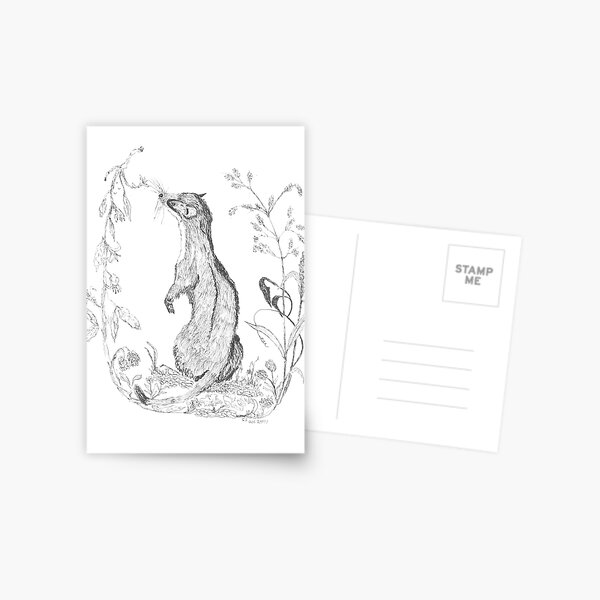 Weasel Postcard