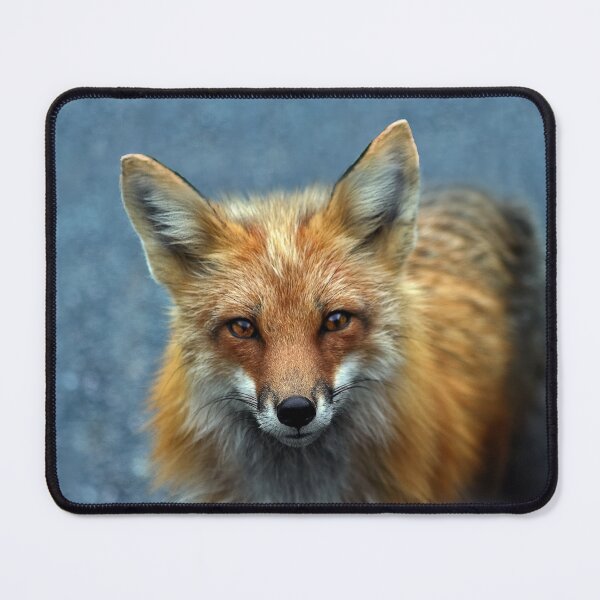 Item preview, Red Fox designed and sold by Johnny Furlotte.