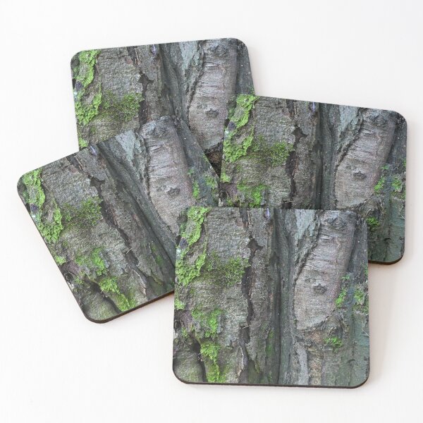 Item preview, Beech trunk with lichen designed and sold by AdioraStore.