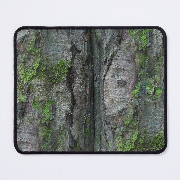 Item preview, Beech trunk with lichen designed and sold by AdioraStore.