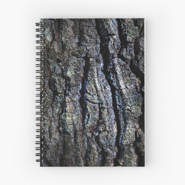 Item preview, Ash bark designed and sold by AdioraStore.