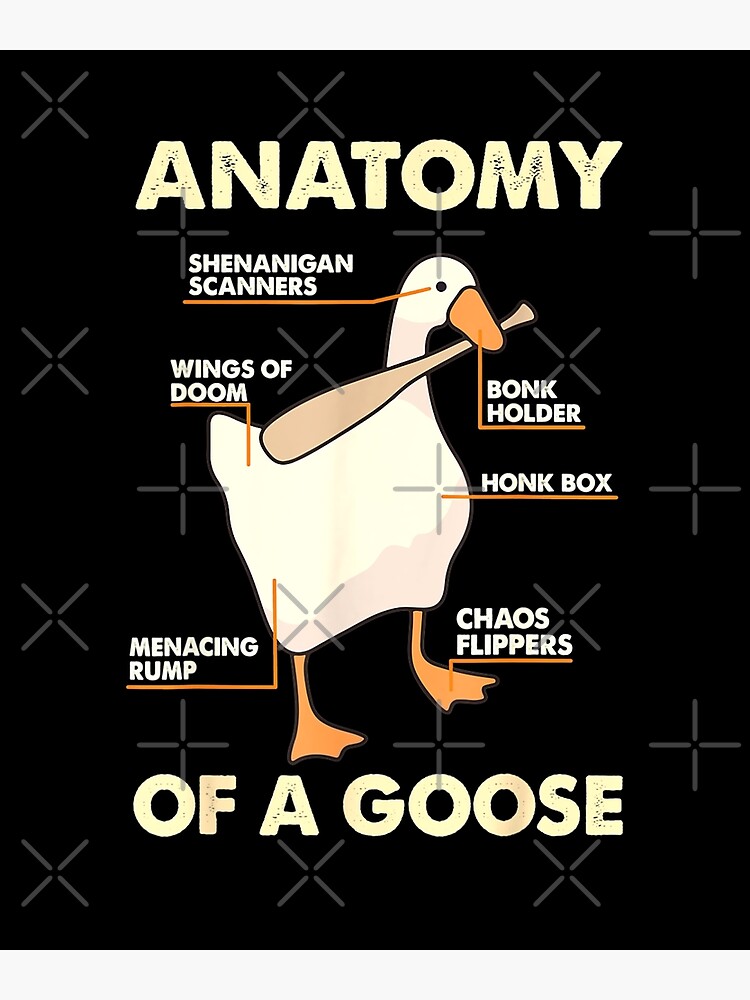 "Anatomy of A Goose" Poster for Sale by AnimeMarkid | Redbubble