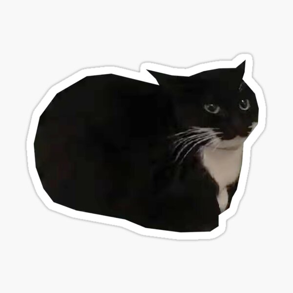 Funny Cute Cat Memes Cat Face Retro Vintage - Cat Memes - Sticker