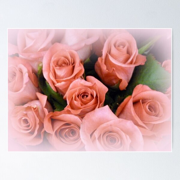 Item preview, ROSES ~ A whisper of soft coral - pink designed and sold by Elaine Bawden.