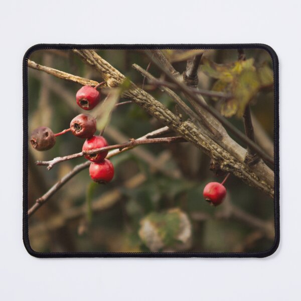 Item preview, Hawthorn designed and sold by Francespoppy.