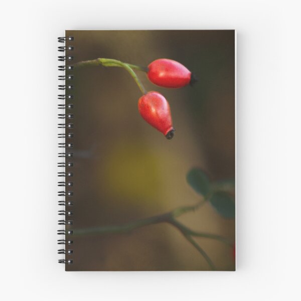 Artikelvorschau, Rosa Canina-Frucht entworfen und verkauft von Francespoppy.