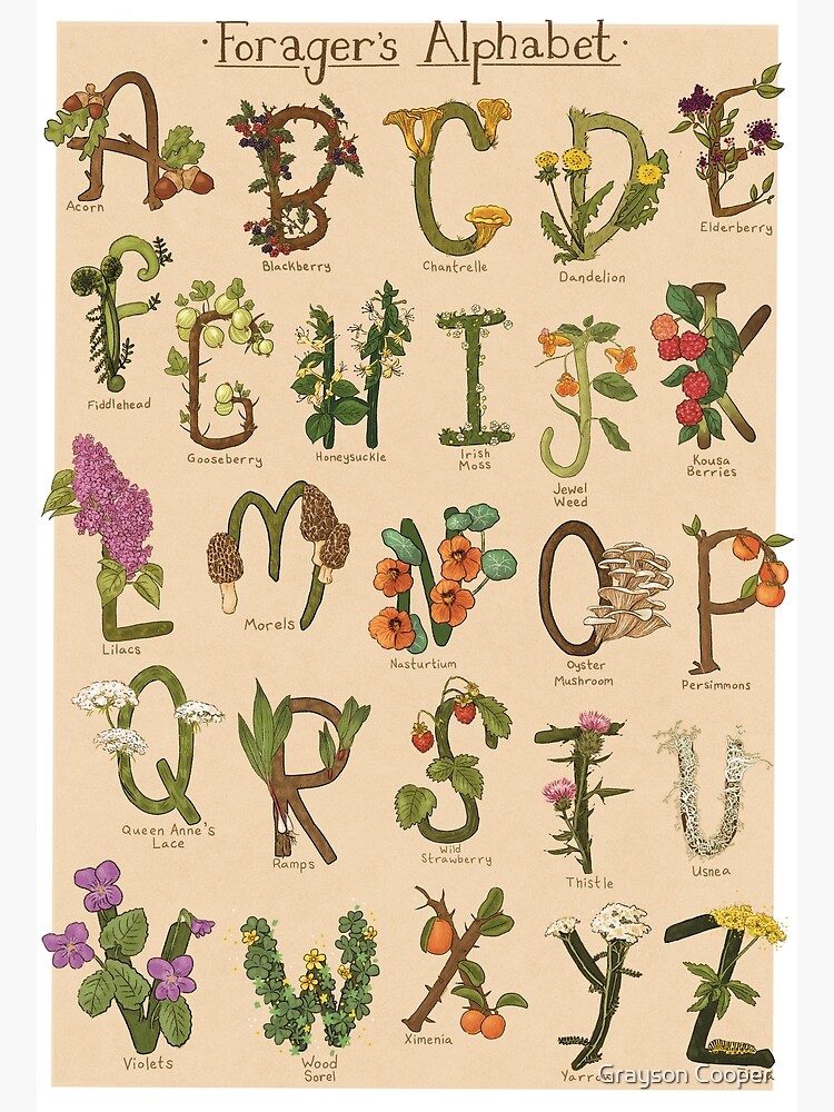 Disover ABCs of Foraging Premium Matte Vertical Poster