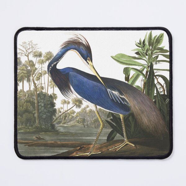 Item preview,  Tricolored Heron - John James Audubon designed and sold by billythekidtees.