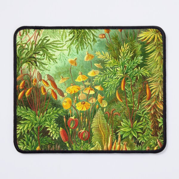 Item preview, Moss - Ernst Haeckel  designed and sold by billythekidtees.