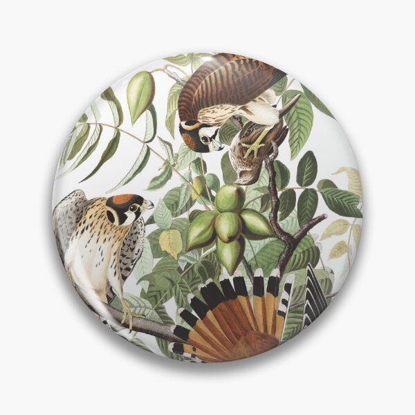 Item preview, American Kestrel - John James Audubon  designed and sold by billythekidtees.
