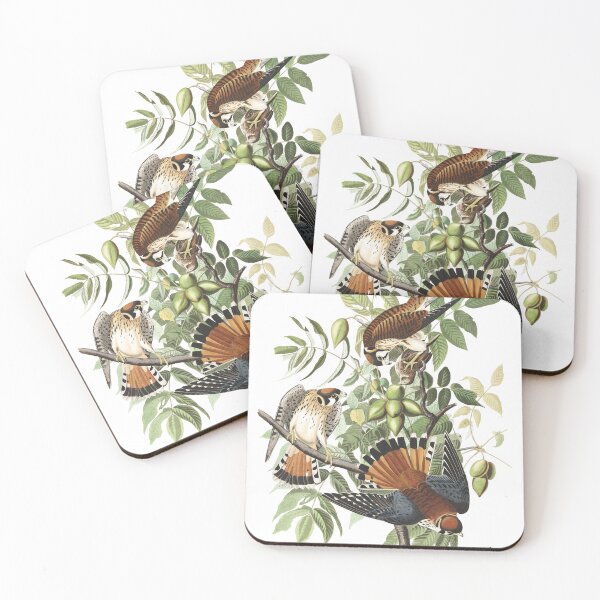 Item preview, American Kestrel - John James Audubon designed and sold by billythekidtees.