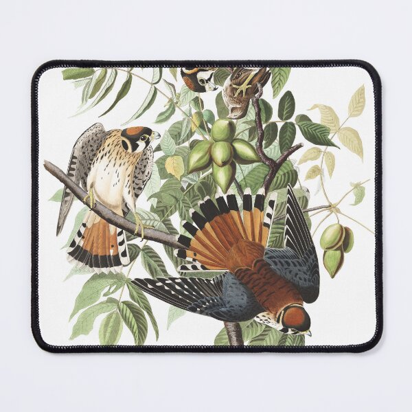 Item preview, American Kestrel - John James Audubon  designed and sold by billythekidtees.