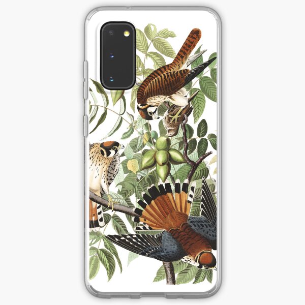 Item preview, American Kestrel - John James Audubon  designed and sold by billythekidtees.