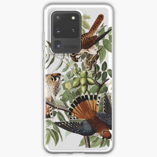 Item preview, American Kestrel - John James Audubon  designed and sold by billythekidtees.