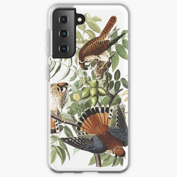 Item preview, American Kestrel - John James Audubon  designed and sold by billythekidtees.