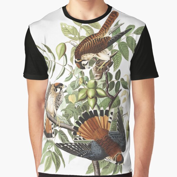 Item preview, American Kestrel - John James Audubon  designed and sold by billythekidtees.