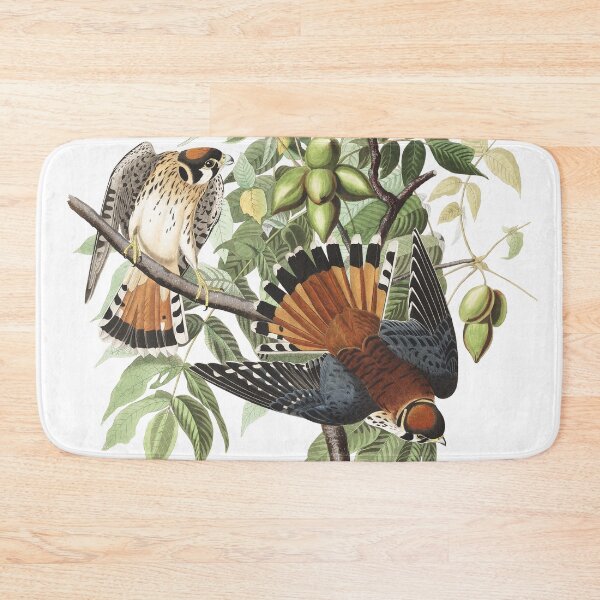 Item preview, American Kestrel - John James Audubon  designed and sold by billythekidtees.