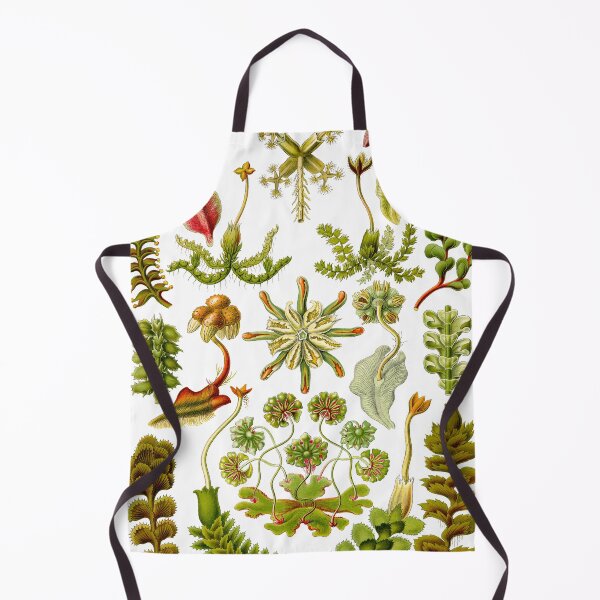 Item preview, Hepaticae - Ernst Haeckel  designed and sold by billythekidtees.