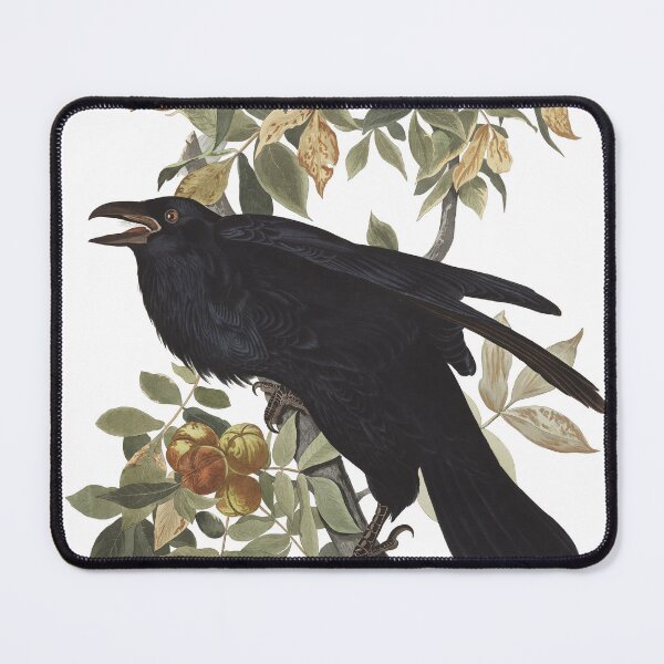 Item preview, Raven - John James Audubon designed and sold by billythekidtees.