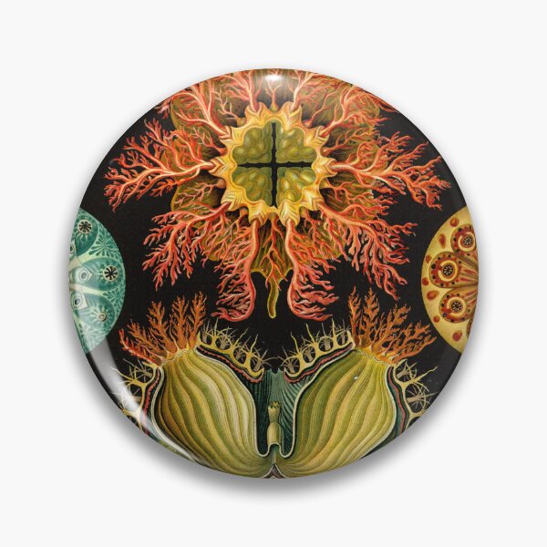 Item preview, Ascidia - Ernst Haeckel designed and sold by billythekidtees.