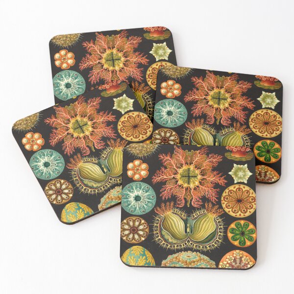 Item preview, Ascidia - Ernst Haeckel designed and sold by billythekidtees.