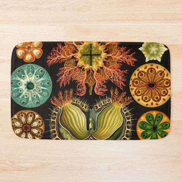 Item preview, Ascidia - Ernst Haeckel designed and sold by billythekidtees.