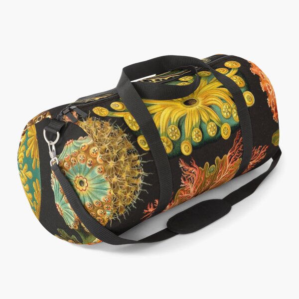 Item preview, Ascidia - Ernst Haeckel designed and sold by billythekidtees.