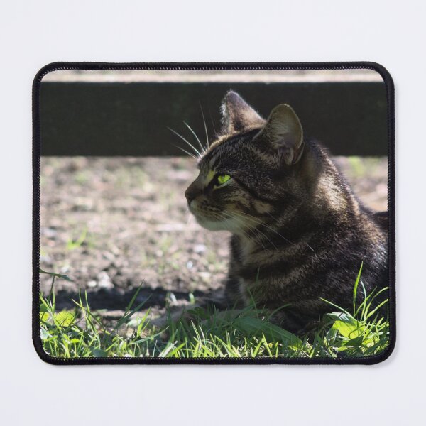 Item preview, tabby cat designed and sold by Francespoppy.