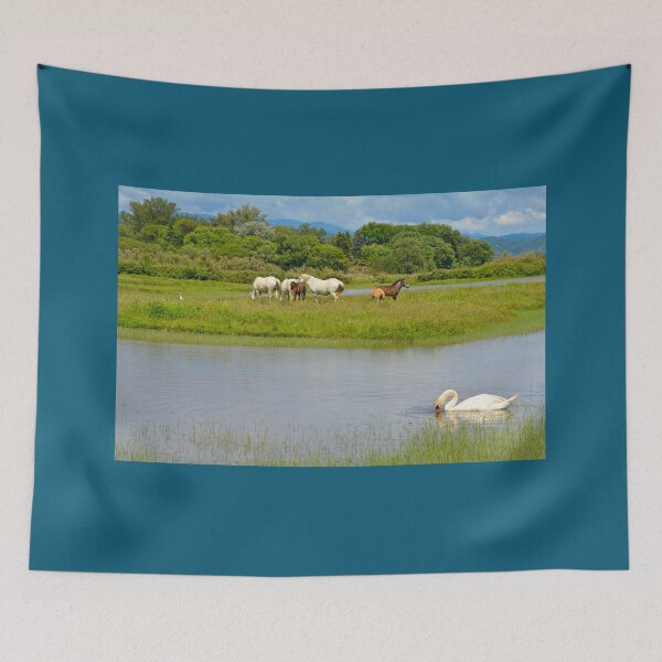 Item preview, Wild Horses and Swan in Italian Wetland designed and sold by jojobob.