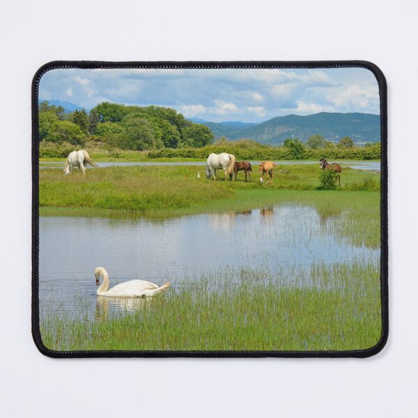 Item preview, Wild Horses and Swan in Italian Wetland designed and sold by jojobob.