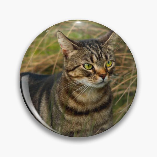 Item preview, tabby cat designed and sold by Francespoppy.