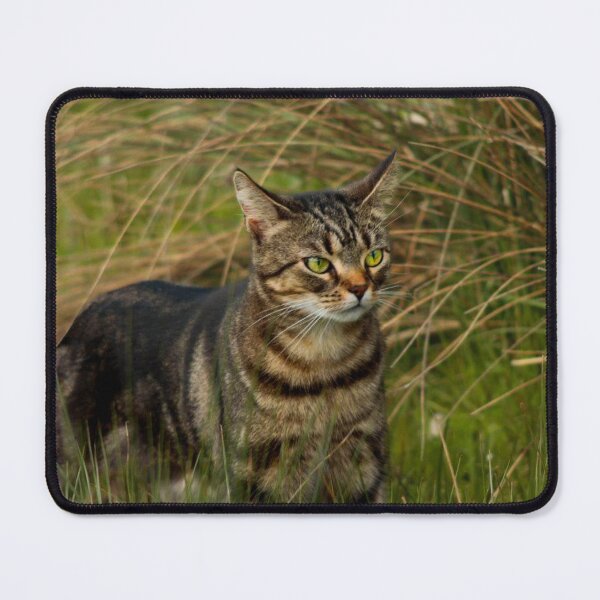 Item preview, tabby cat designed and sold by Francespoppy.