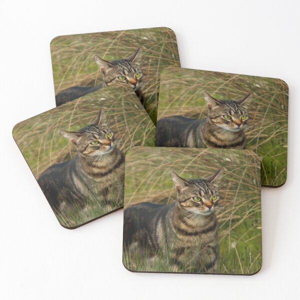 Item preview, tabby cat designed and sold by Francespoppy.