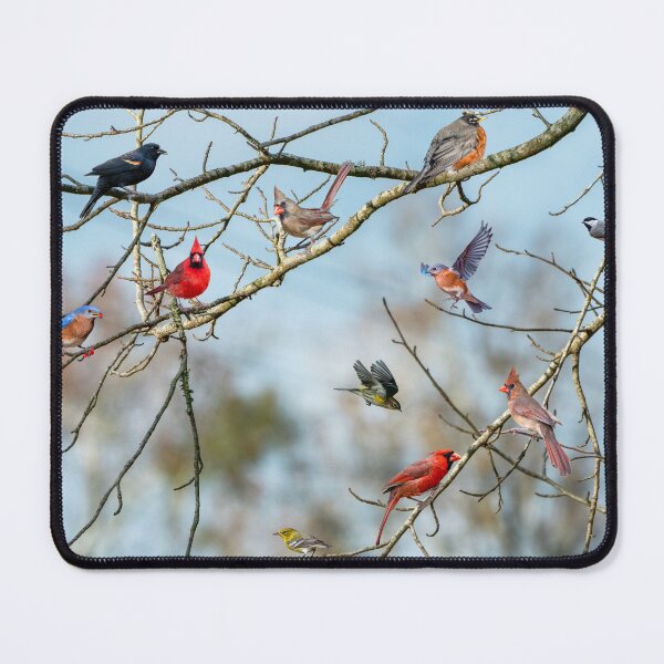 Item preview, Flock of Songbirds  designed and sold by Bonnie T.  Barry.
