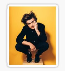 Steve harrington Sticker