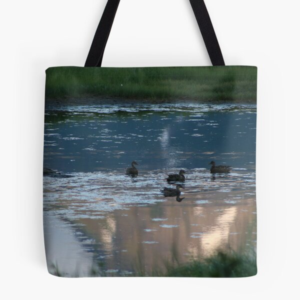 Aperçu de l'œuvre Canards de l'Alaska créée et vendue par csinger.