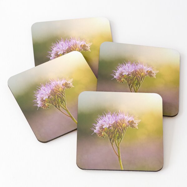 Item preview, Bumblebee Feeding on Lacy Phacelia in Golden Sunlight designed and sold by Taina Sohlman.