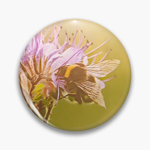 Item preview, Bumblebee Feeding on Lacy Phacelia in Golden Sunlight designed and sold by Taina Sohlman.