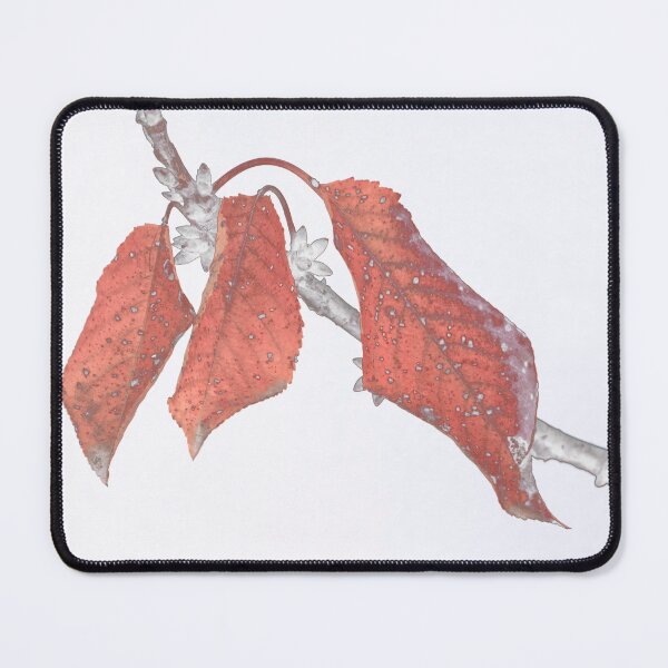 Item preview, Cherry Leaves  designed and sold by TessAndre.