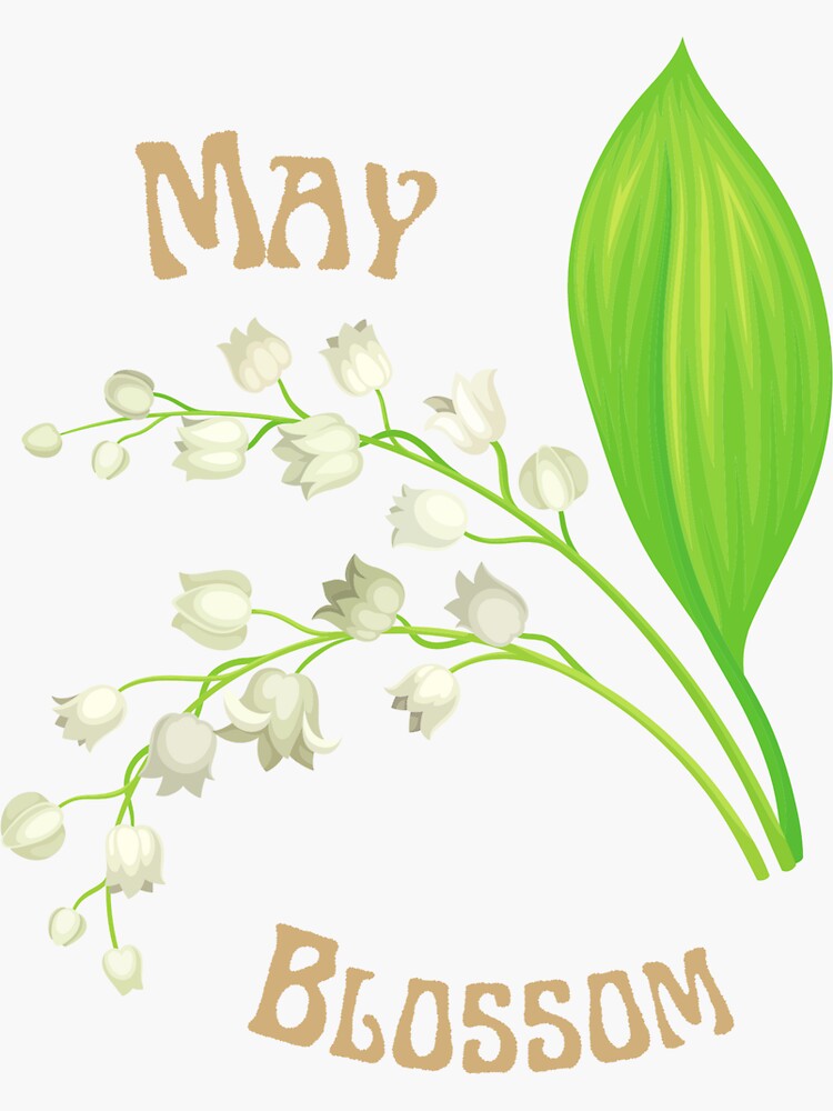 "May Birth Flower" Sticker for Sale by Scaratti Redbubble