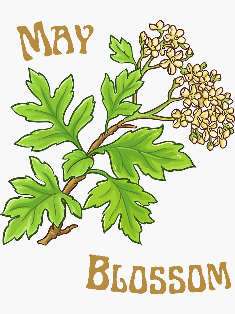 "May Birth Flower" Sticker for Sale by Scaratti Redbubble