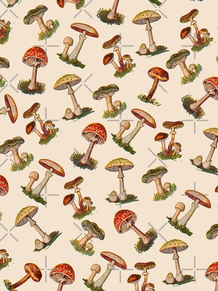 Mushrooms by notsniwart