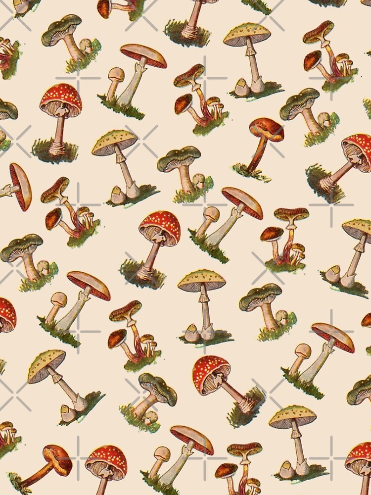 Mushrooms by notsniwart