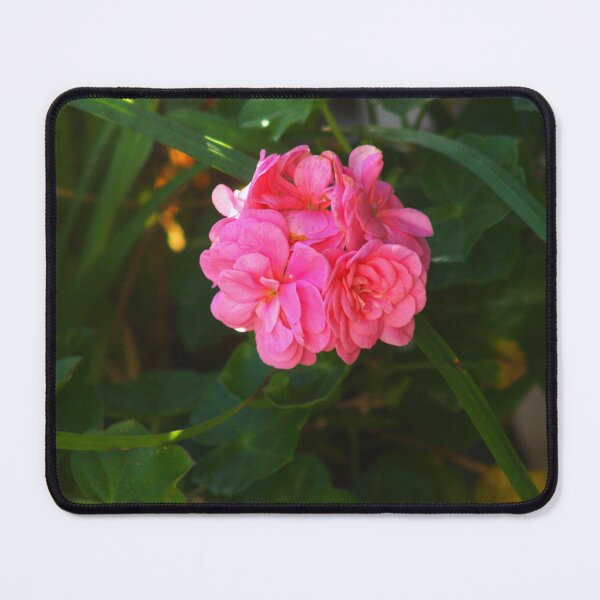 Item preview, Pink ivy geranium designed and sold by Francespoppy.