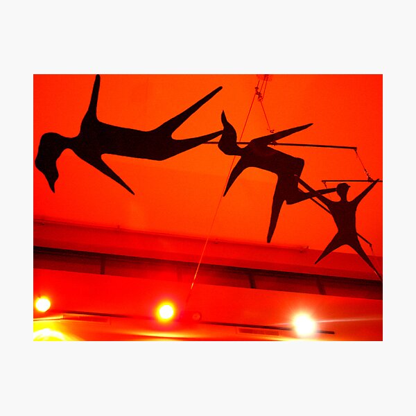 Dance for Me Photographic Print