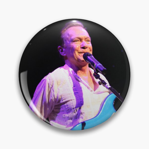 Item preview, David Cassidy - Photograph designed and sold by ConcertImages.